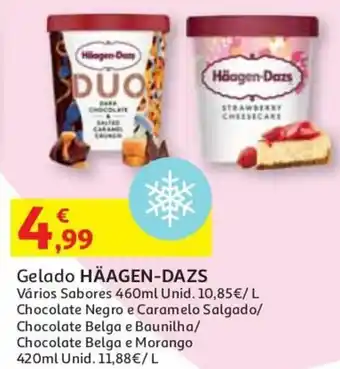 Auchan Gelado Häagen-Dazs 420ml promoção