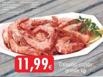 Froiz Camarão cozido promoção
