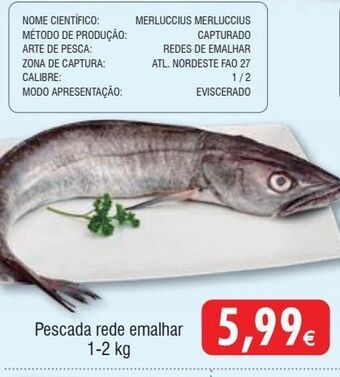 Froiz Peixe promoção