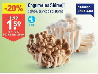 ALDI Cogumelos promoção