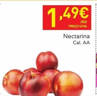 Recheio Nectarina promoção