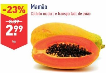 Mamão