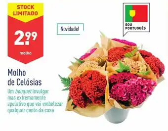 ALDI Molho de Celósias promoção