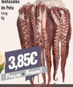 Belita Tentáculos de pota promoção