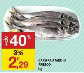E.Leclerc Carapau Médio Fresco promoção