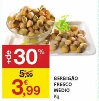 E.Leclerc Berbrigão Fresco Médio promoção