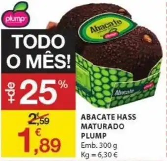 E.Leclerc Abacate hass Maturado Plump 300g promoção