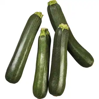 Continente Curgete verde promoção