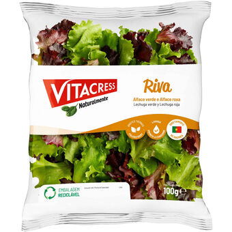 Continente Salada riva promoção