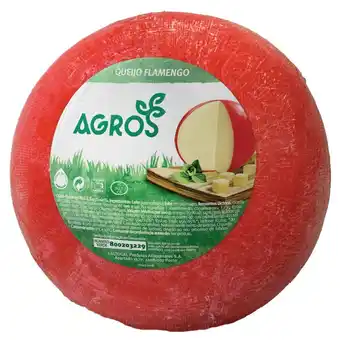 Continente Queijo flamengo bola promoção