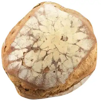 Continente Pão escuro massa mãe promoção