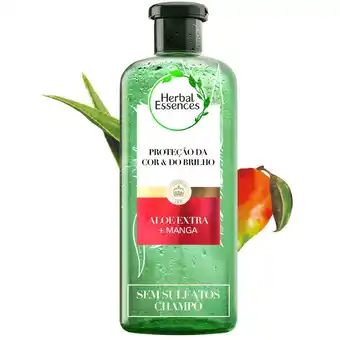 Continente Champô protetor aloe e manga promoção