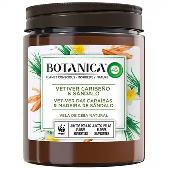 Continente Ambientador vela botanica vetviver promoção