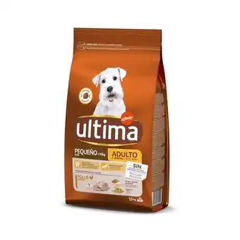 Continente Ração para cão adulto mini special promoção