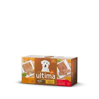 Continente Comida húmida para cão adulto mini promoção