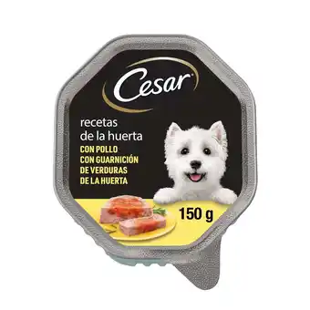 Comida húmida para cão adulto horta