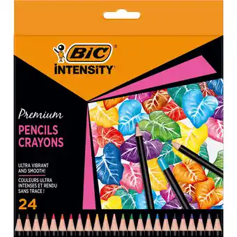Continente Lápis de cor intensity premium promoção