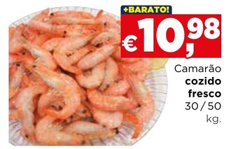 Bolama Camarão cozido fresco 30/50 kg promoção