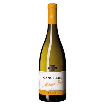 Continente Cancellus malvasia fina premium doc douro vinho branco promoção