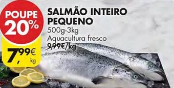 Pingo Doce SALMÃO INTEIRO PEQUENO 500g-3kg promoção