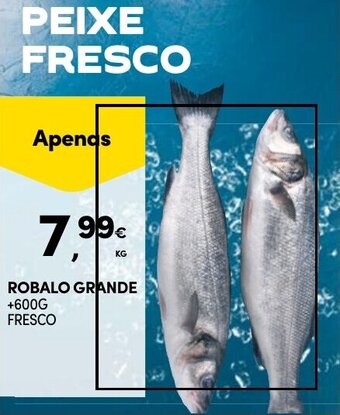 Continente ROBALO GRANDE promoção