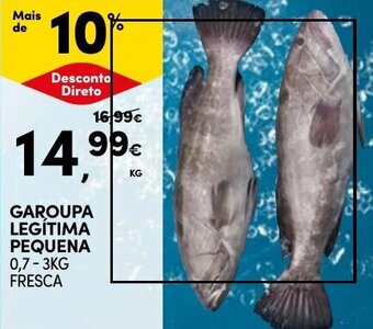 Continente GAROUPA LEGÍTIMA PEQUENA promoção