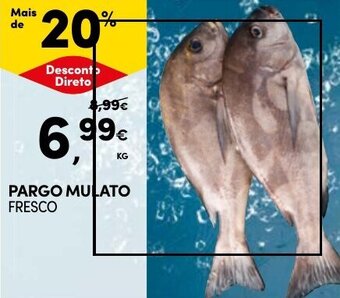 Continente PARGO MULATO FRESCO promoção