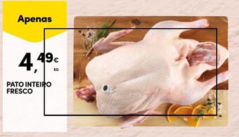 Continente PATO INTEIRO FRESCO promoção