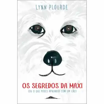 Continente Os segredos da maxi promoção