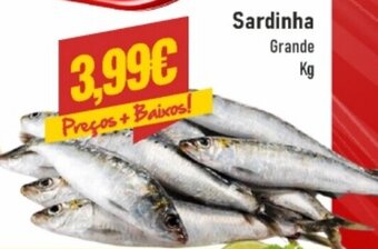 Belita Sardinha Grande Kg promoção