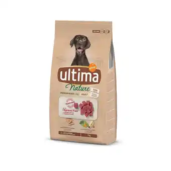 Continente Ração para cão adulto médio e maxi borrego promoção