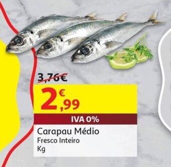 Carapau Médio Fresco Inteiro Kg