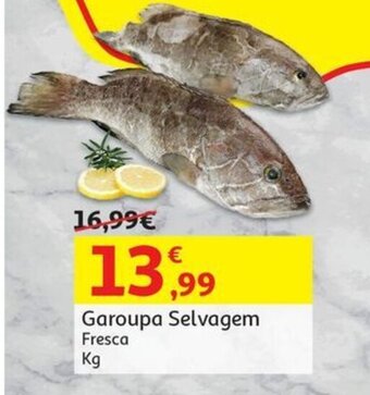 Auchan Garoupa Selvagem Fresca Kg promoção