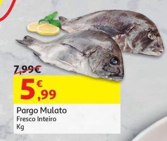 Auchan Pargo Mulato Fresco Inteiro Kg promoção