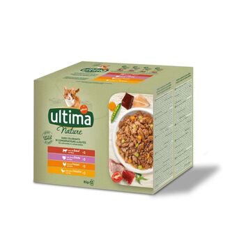 Continente Comida húmida para gato adulto carne promoção