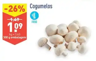 ALDI Cogumelos Frio 300g promoção