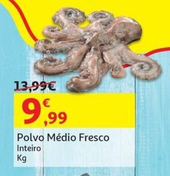 Auchan Polvo Médio Fresco Inteiro kg promoção