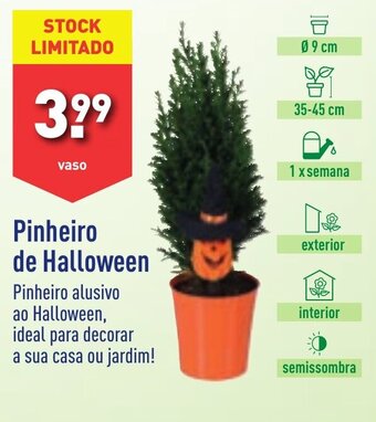 ALDI Pinheiro de Halloween promoção