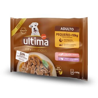 Comida húmida para cão mini delicate salmão