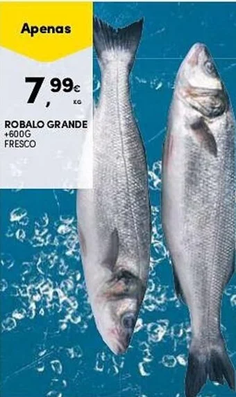 Continente ROBALO GRANDE promoção