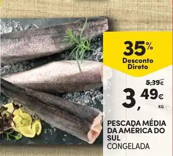 Continente Pescada Média da Americado Sul Congelado promoção