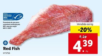 Lidl Red Fish promoção