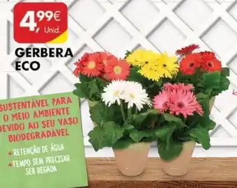 Pingo Doce Gerbera ECO promoção