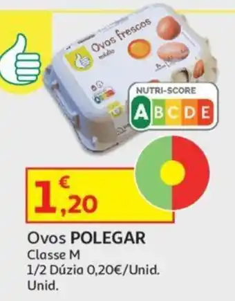 Auchan Ovos POLEGAR Classe M 1/2 Dúzia promoção
