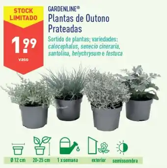 Gardenline Plantas de Outono Prateadas
