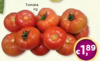 Bolama Tomate kg. promoção