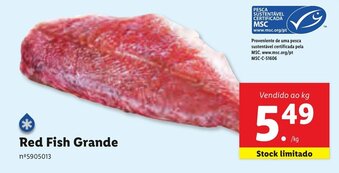Lidl Red Fish Grande promoção