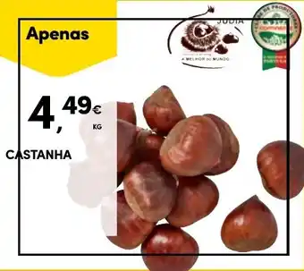 Continente CASTANHA promoção