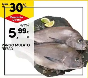 Continente PARGO MULATO FRESCO KG promoção