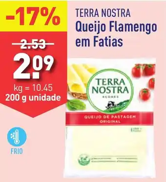 ALDI TERRA NOSTRA Queijo Flamengo em Fatias promoção